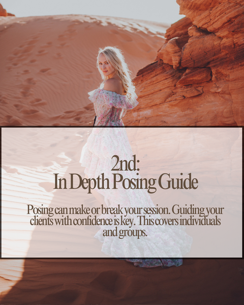 The Photographers BUNDLE