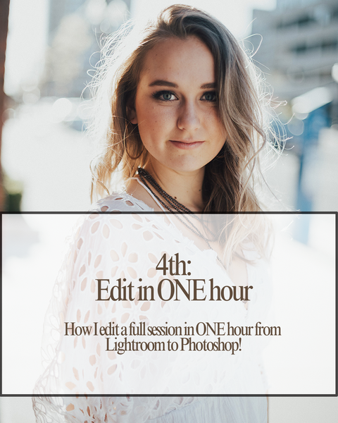 The Photographers BUNDLE