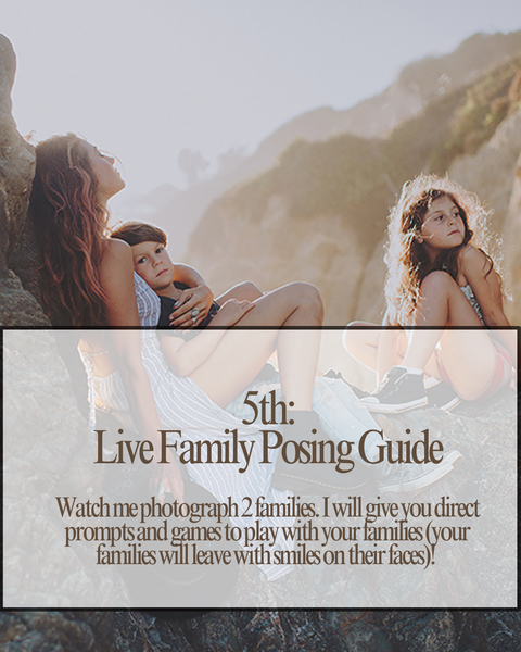 The Photographers BUNDLE